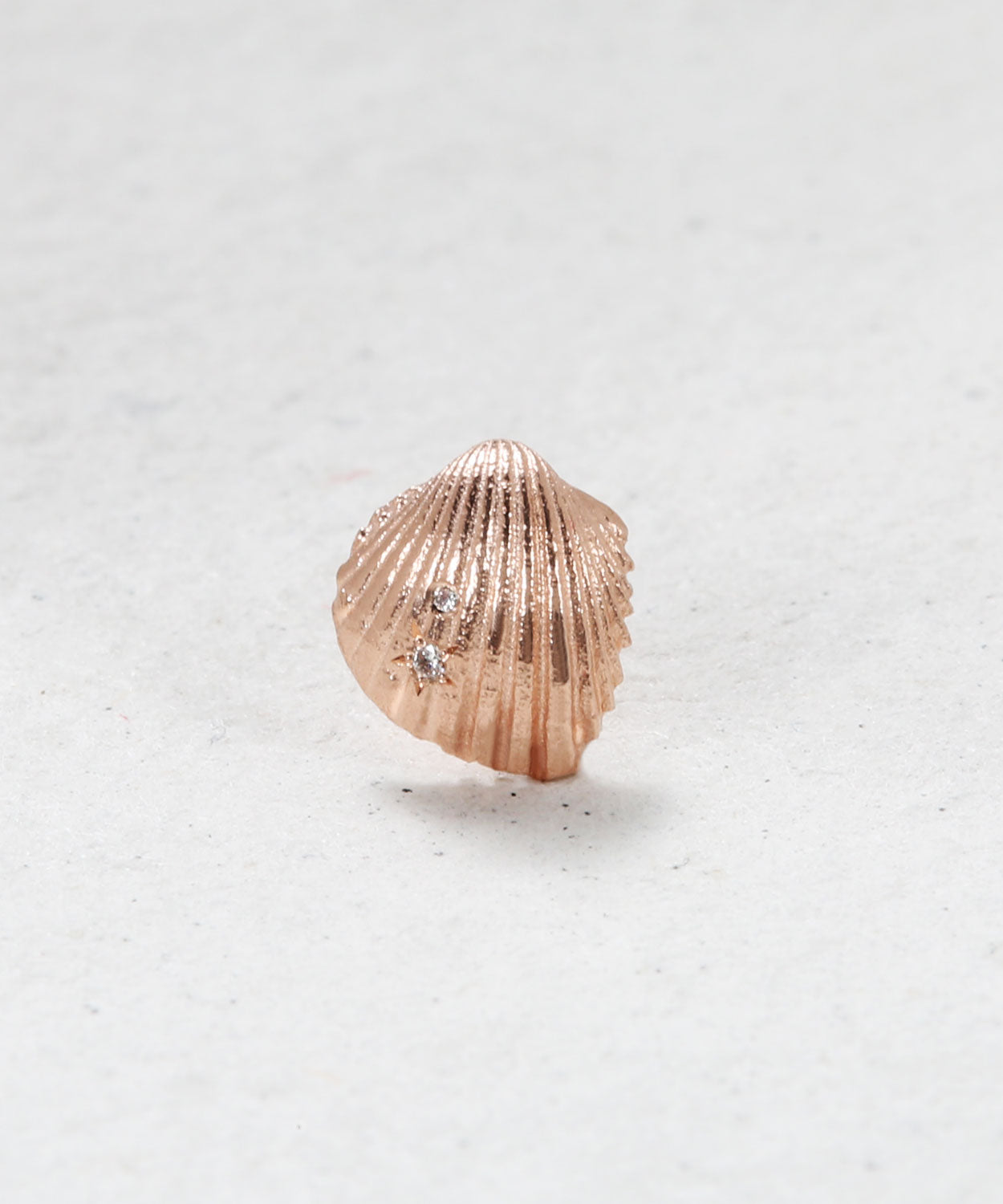 Sandy Shell Earring