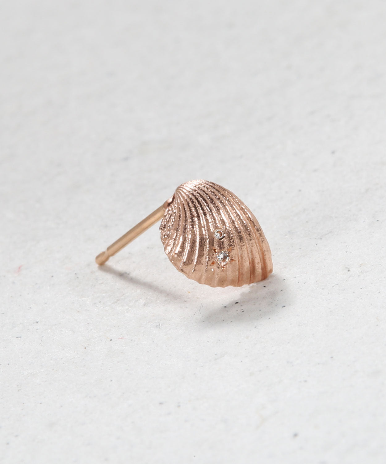 Sandy Shell Earring