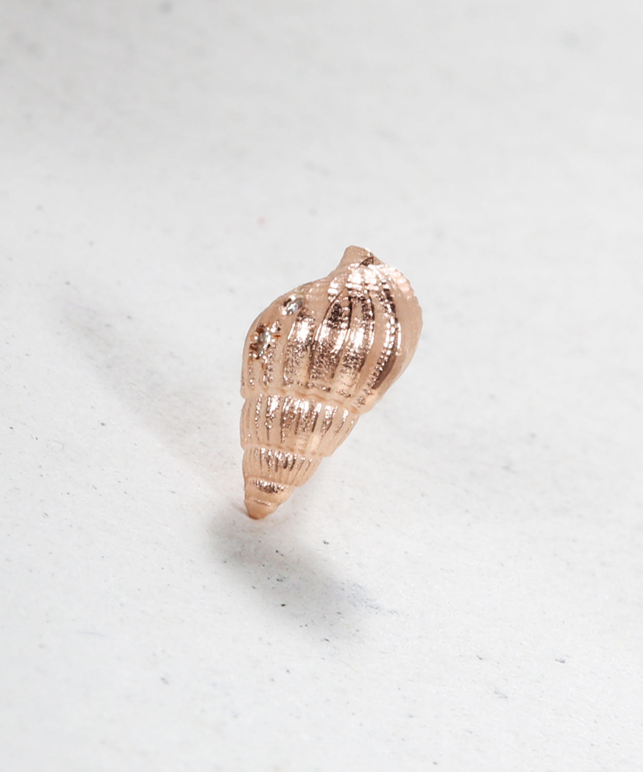 Twisty Shell Earring