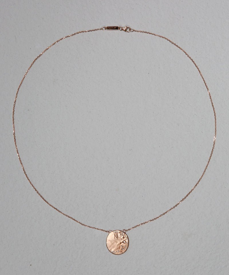 Diamond Moon Disc Necklace