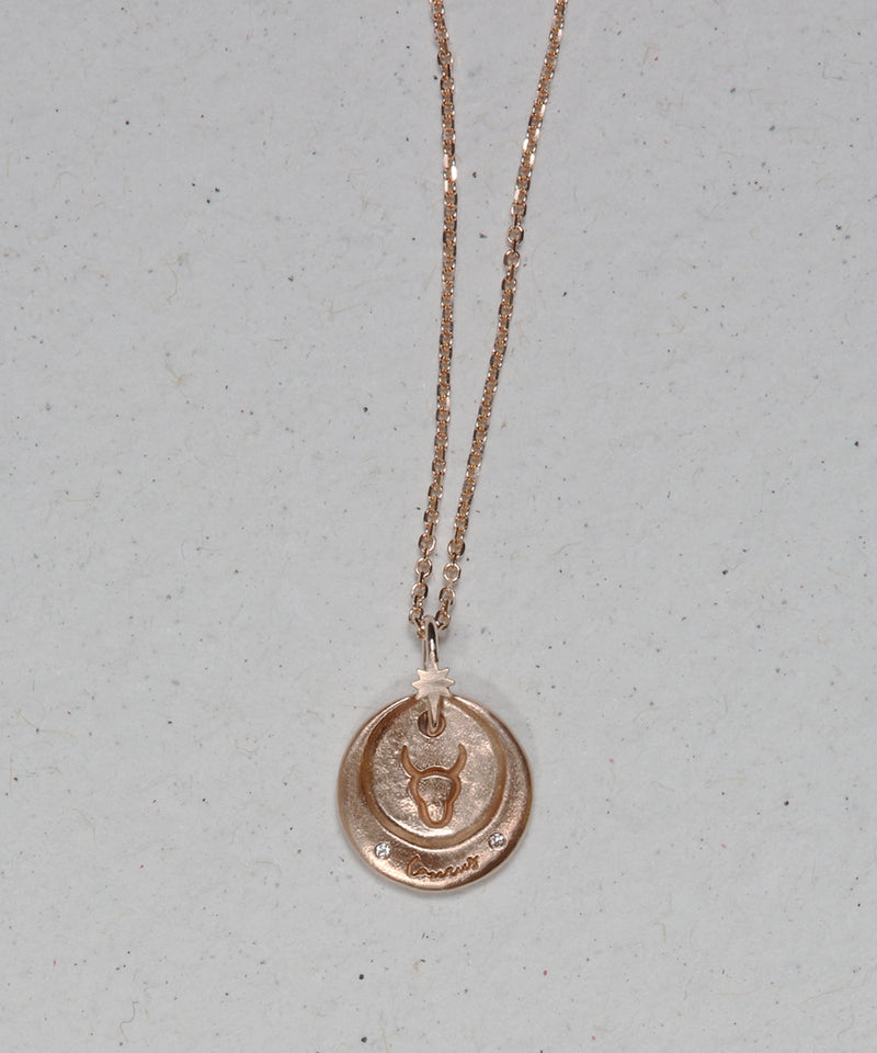 Horoscope Necklace