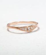 Slice Ring